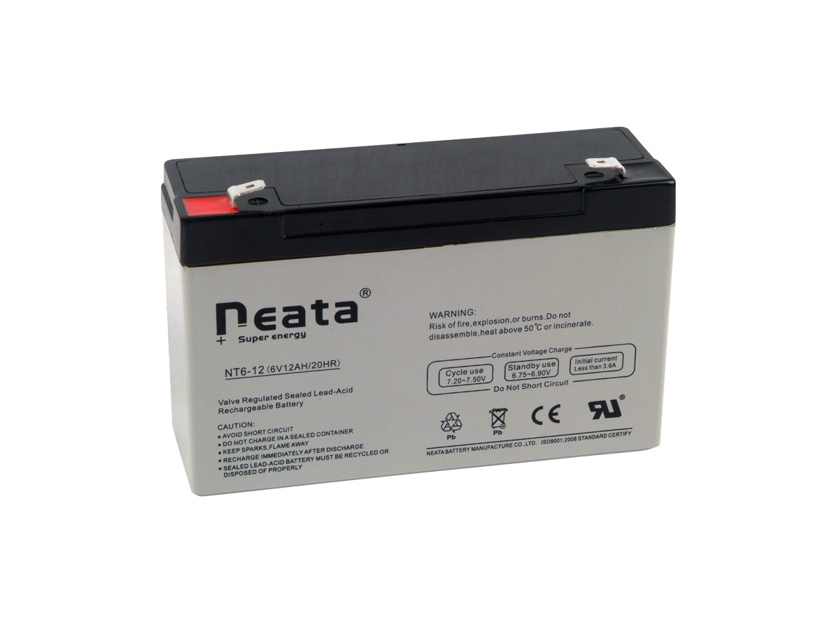 Standard AGM Battery